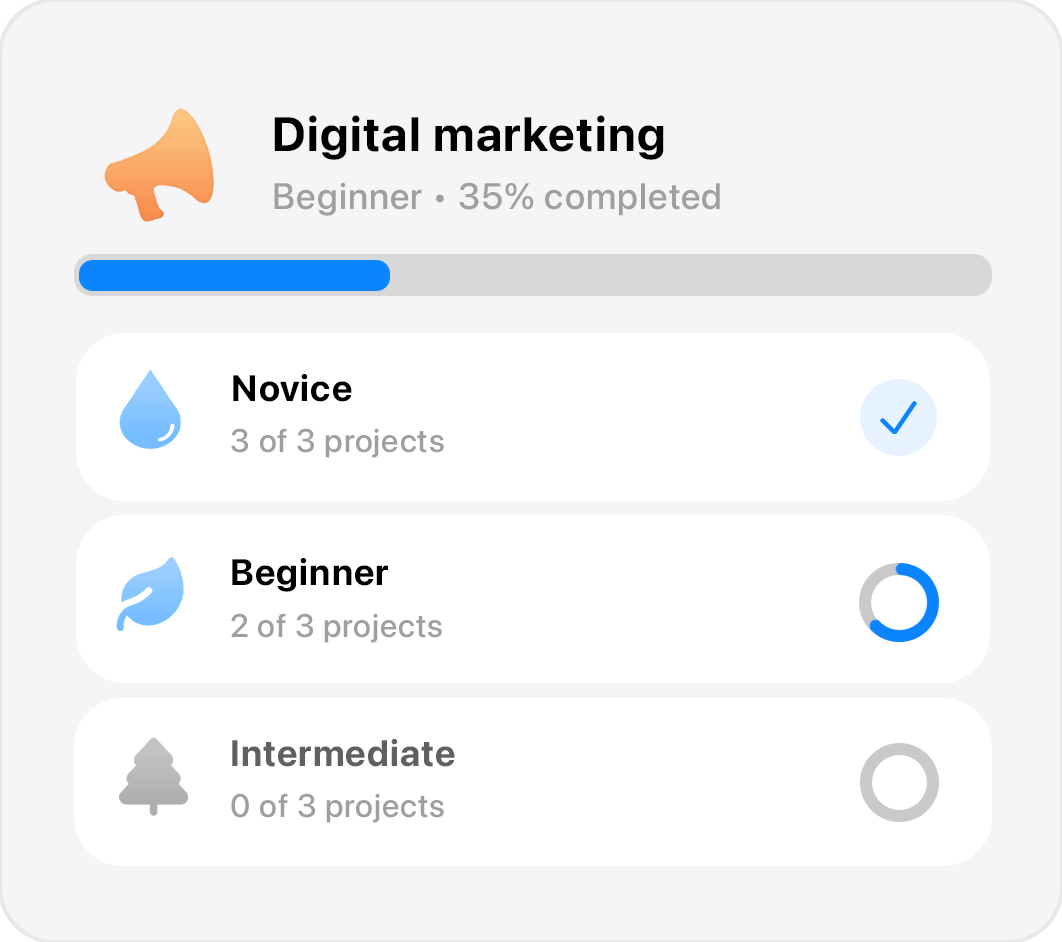 Digital marketing skill progress with Novice, Beginner and Intermediate levels